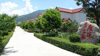 穷窝的大变样 四川建设村的美丽乡村之路