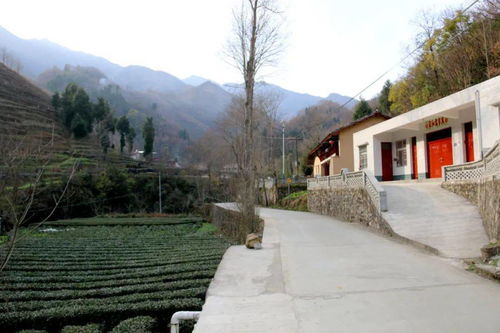 老村旧貌换新颜 从一个乡村华丽转身看康县美丽乡村建设