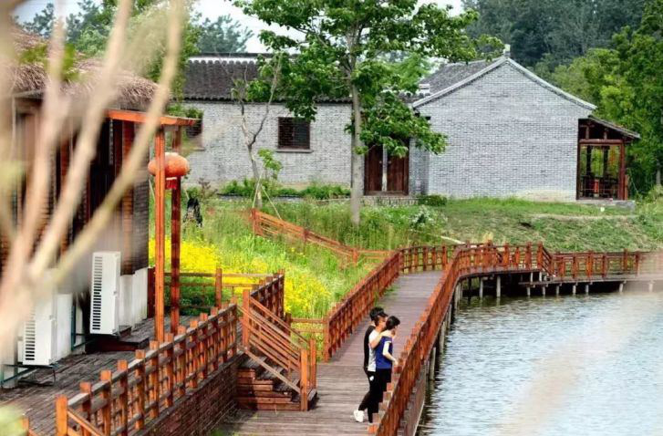 姜堰三水街道小杨村喜获“中国美丽休闲乡村”称号 绘就美丽乡村新画卷