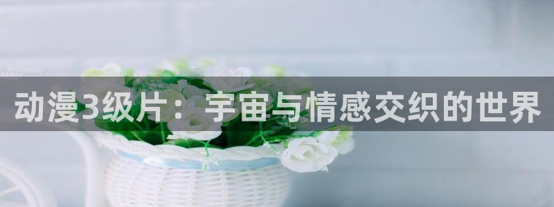 age动漫网下载：动漫3级片：宇宙与情感交织的世界
