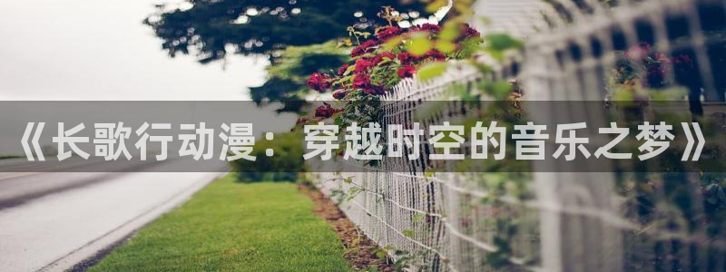 age动漫网：《长歌行动漫：穿越时空的音乐之梦》