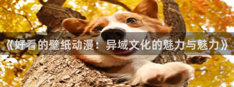 age动漫网：《好看的壁纸动漫：异域文化的魅力与魅力》