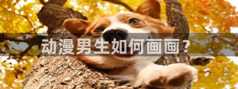 age动漫下载网：动漫男生如何画画？