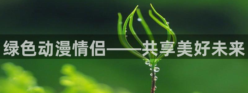 age动漫下载动漫全免费：绿色动漫情侣——共享美好未来