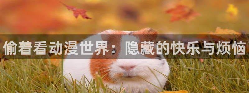 age动漫omofun：偷着看动漫世界：隐藏的快乐与烦恼