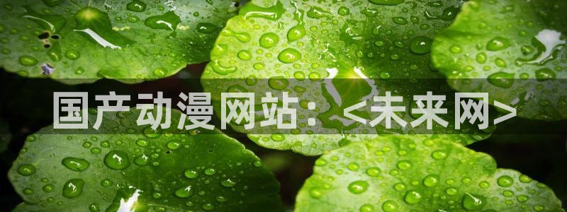 age动漫正版网：国产动漫网站：<未来网>