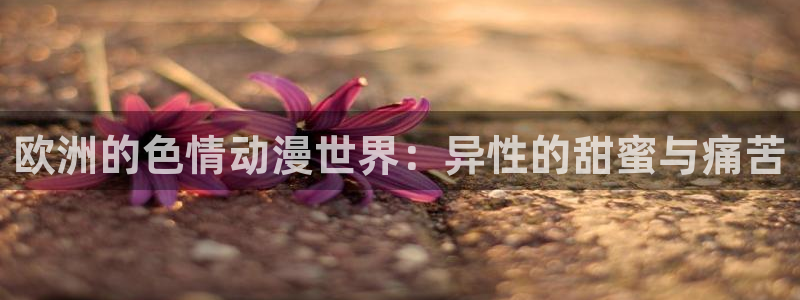 age动漫专注动漫的门户网站：欧洲的色情动漫世界：异性的甜蜜与痛苦