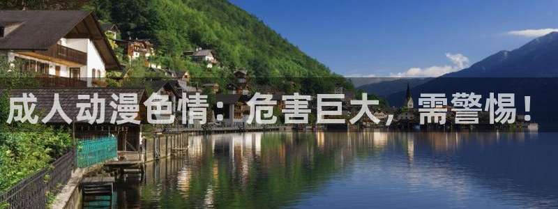age动漫下载入口