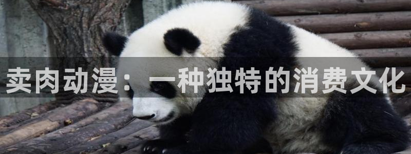 age动漫官网在线入口