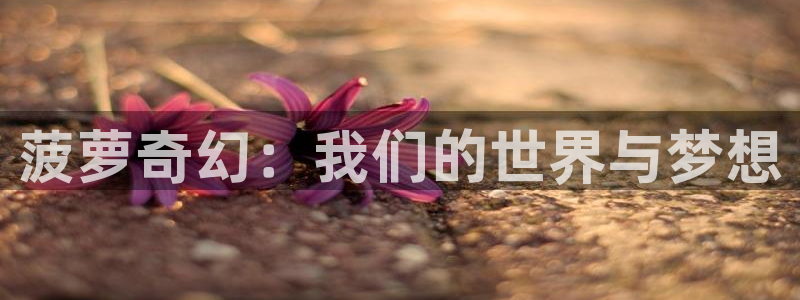 age动漫官网版入口