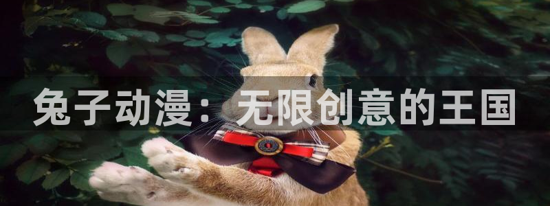 age动漫官网入口老版本