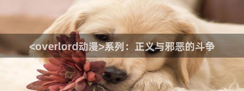 age动漫官网网址