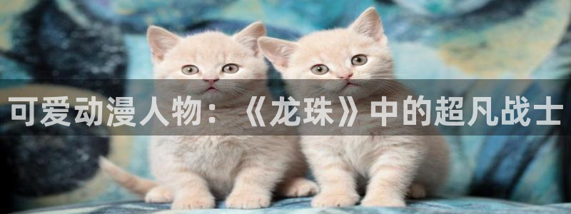 age动漫网上看