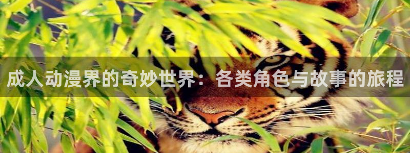 age动漫下载