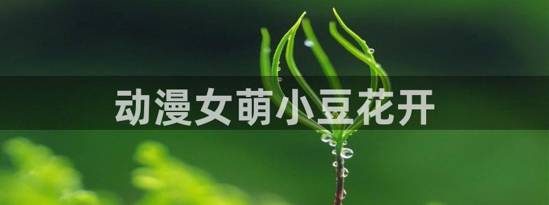 age动漫专注动漫的门户网站