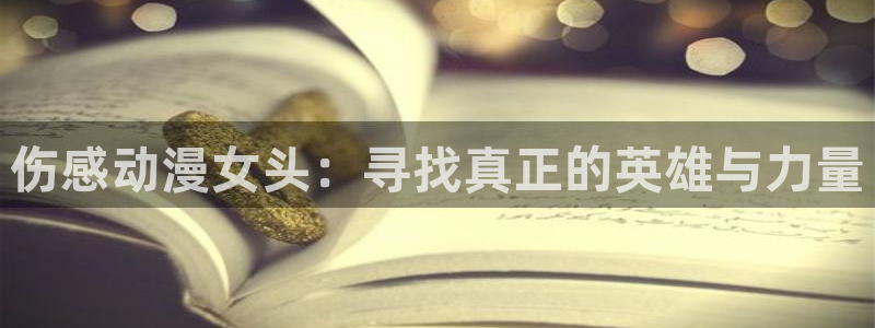age动漫官网入口老版本