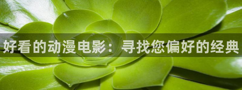 age动漫樱花