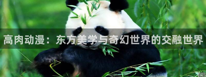 age动漫官网入口老版本