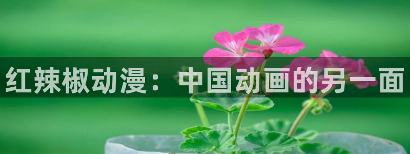 age动漫官网版入口