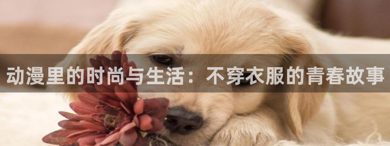 age樱花动漫