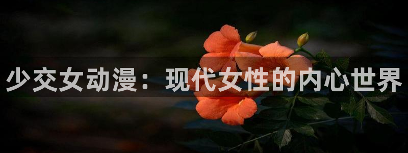 拷贝漫画 copymanager.ory网站