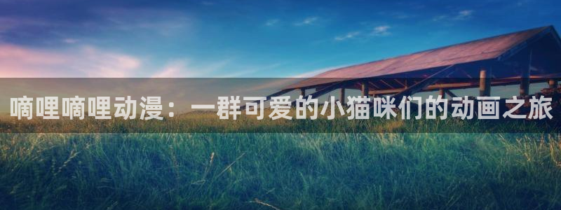 age动漫正版网