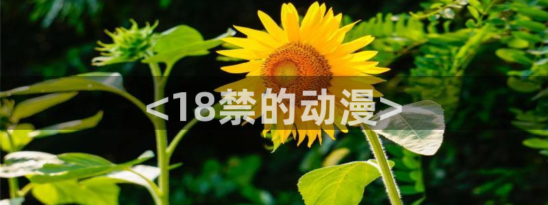 下载age动漫