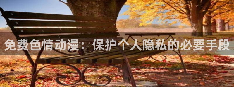 拷贝漫画 copymanager.ory网站：免费色情动漫：保护个人隐私的必要手段